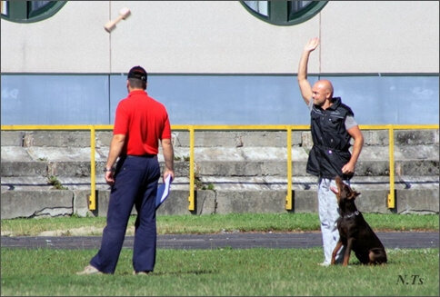 Sasha - Estonia championship 2007  in IPO 3